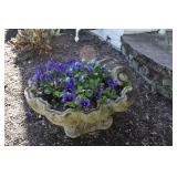 CEMENT SHELL SHAPE PLANTER W/ LIVE FLOWERS