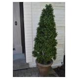 CEMENT PLANTER W/ BOXWOOD 69" OVERALL HEIGHT -