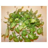 WALL MOUNTED ARTIFICIAL LEAVES IN BASKET