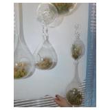 GLASS HANGING TERRARIUM BULBS