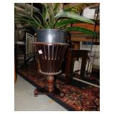 PLANT STAND WITH LIVE SNAKE PLANT; H:19"; 12"