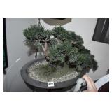 FAUX BONSAI TREE