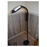 NATURAL DAY LIGHT FLOOR LAMP: GOOSE NECK HAS BEEN