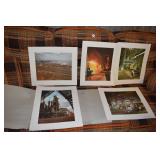 BUTTERFLY PICTURE; JAMES LOCKLIN STEEL PICTURES