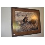 PRINT OF LIONS; 27" H 33 1/2" W