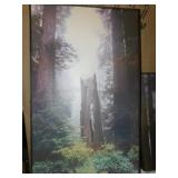 NATURE PICTURES 38" H X 24" W AND 2 OTHERS 24" X