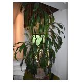 DUCANE PROPANE GRILL