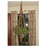 LIVE IVY PLANT W/ HANGING BASKET