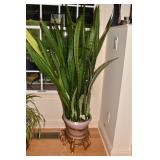 LIVE PLANT SANSIEVERIA 76" H IN POT ON BASE