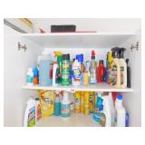LARGE GROUP OF HOUSE CLEANER, CAR CLEANER, RAID,
