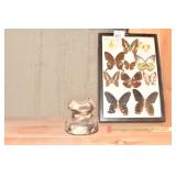 FRAMED BUTTERFLIES, FRAMED INSULATOR,