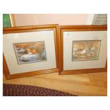 WILDLIFE PHOTOS DUCKS & FOX