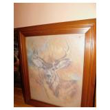DEER PICTURES 2