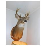 DEER HEAD
