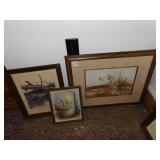 DUCK & GEESE PICTURES