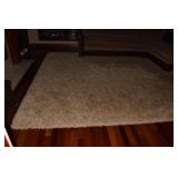 SHAG RUG 10