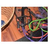 BASKET AND STRETCH BANDS