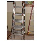 WING FOLD OUT LADDER - 12