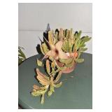 CACTUS LIVE ZOO LOO PLANT 14" H IN PLANTER