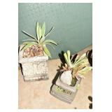 CONCRETE PLANTER W/ ANGEL W/ CENTURY PLANT &
