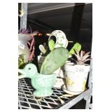 SUCCULENTS AND CACTUS