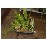 MIX PLANTER W/ FERN