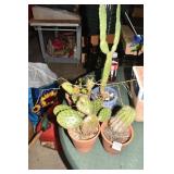 4 MEDIUM CACTUS
