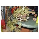 IRON PLANT BASKET W/ MISTLETOE CACTUS