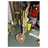 24" CACTUS IN WOOD PLANTER AND SNAIL PLANTER AND