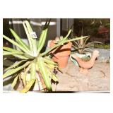 HEN PLANTER, JADE, ETC.