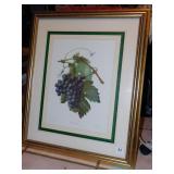 VITIS VINIFERA SIGNED K.G. LOHSE SCULP 24" H X