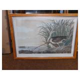 1834  BY R. HAWELLONG BILLED CURLEW CITY OF