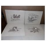 4 DRAWINGS #ED SIGNED LR  16" X 20"