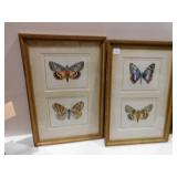 BUTTERFLY PRINT BY JJ ERNST PINXIT 2 TO GO