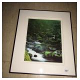 20" X 17" CREEK SCENE PHOTOGRAPH SIGNED LR