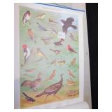 WILDLIFE POSTERS 4 TO GO