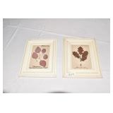 PAINTED BIRD HOUSE AND 2 PRINTS