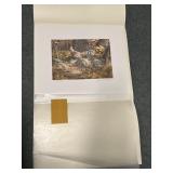 1982 CONSERVATION STAMP PRINT RUFFED GROUSE