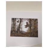 DAVID HAGERBAUMER - 1981 CONVENTION - 446/1780