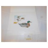 JAMES FISHER PRINT READY TO FRAME1982 DUCK .