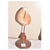 BEAUTIFUL SHELL ON STAND.