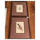 PFINE GROSSBEAK & BLUE TIP FRAMED BIRD PRINTS