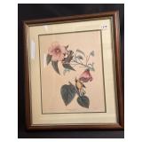 JOHN J. AUDUBON - "BLUE WINGED YELLOW WARBLER"