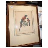 J. G. KEULEMANS LITHOGRAPH - LOWER RIGHT HANHART