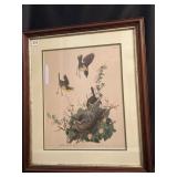 J J AUDOBON 27" X 23" YELLOW BREASTED CHAT 27.5 X