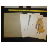 AUDUBON BIRDS OF AMERICA PRINT PAGES