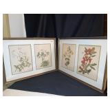 2 FRAMED FLOWER PRINTS, UNSIGNED, 22X16