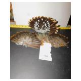 3 BIRD TAIL FEATHERS