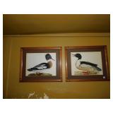 DUCK PRINTS FRAMED 26" X 31"