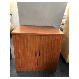 2 DOOR STORAGE CABINET 29.5" H X 30" W X 24" D